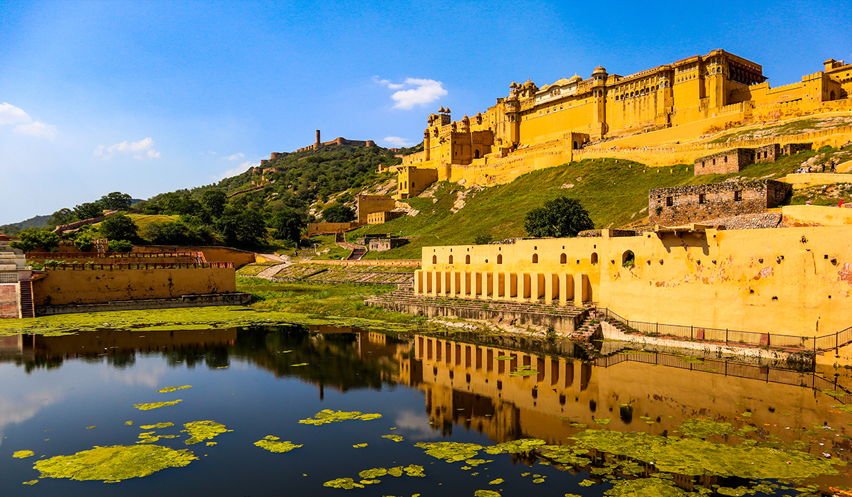 Wild Nature Tour in Rajasthan