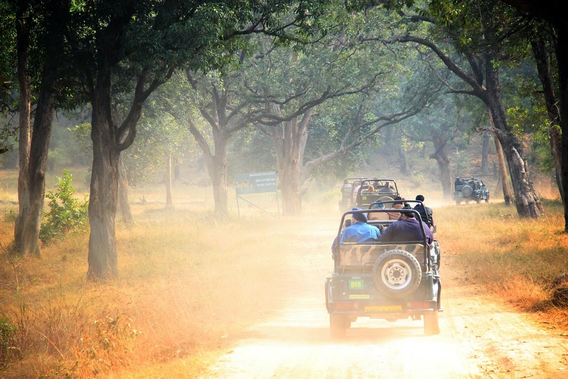 enjoy jeep safari in wild life sanctuaries of Udaipur