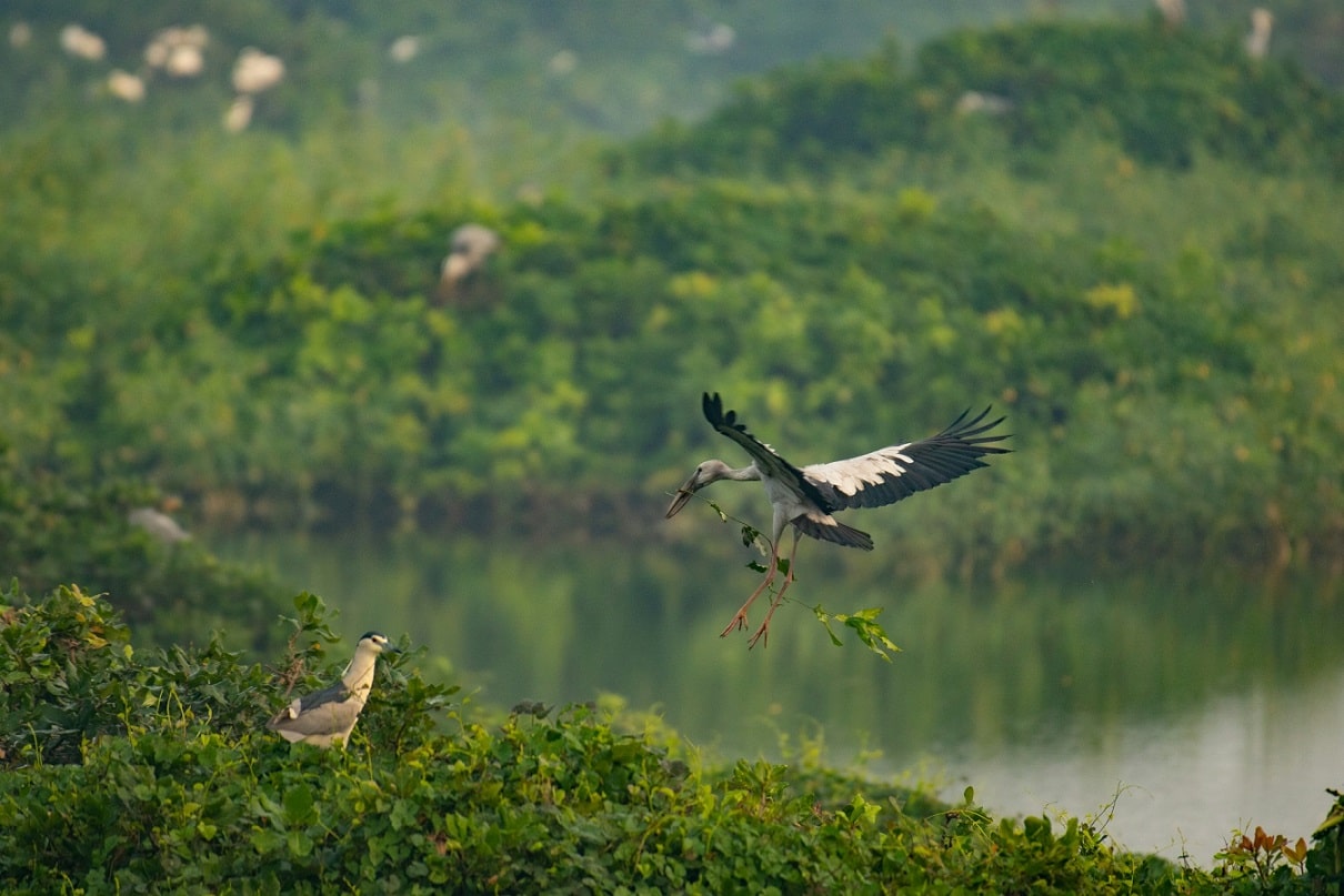 Bird Sanctuary in India
