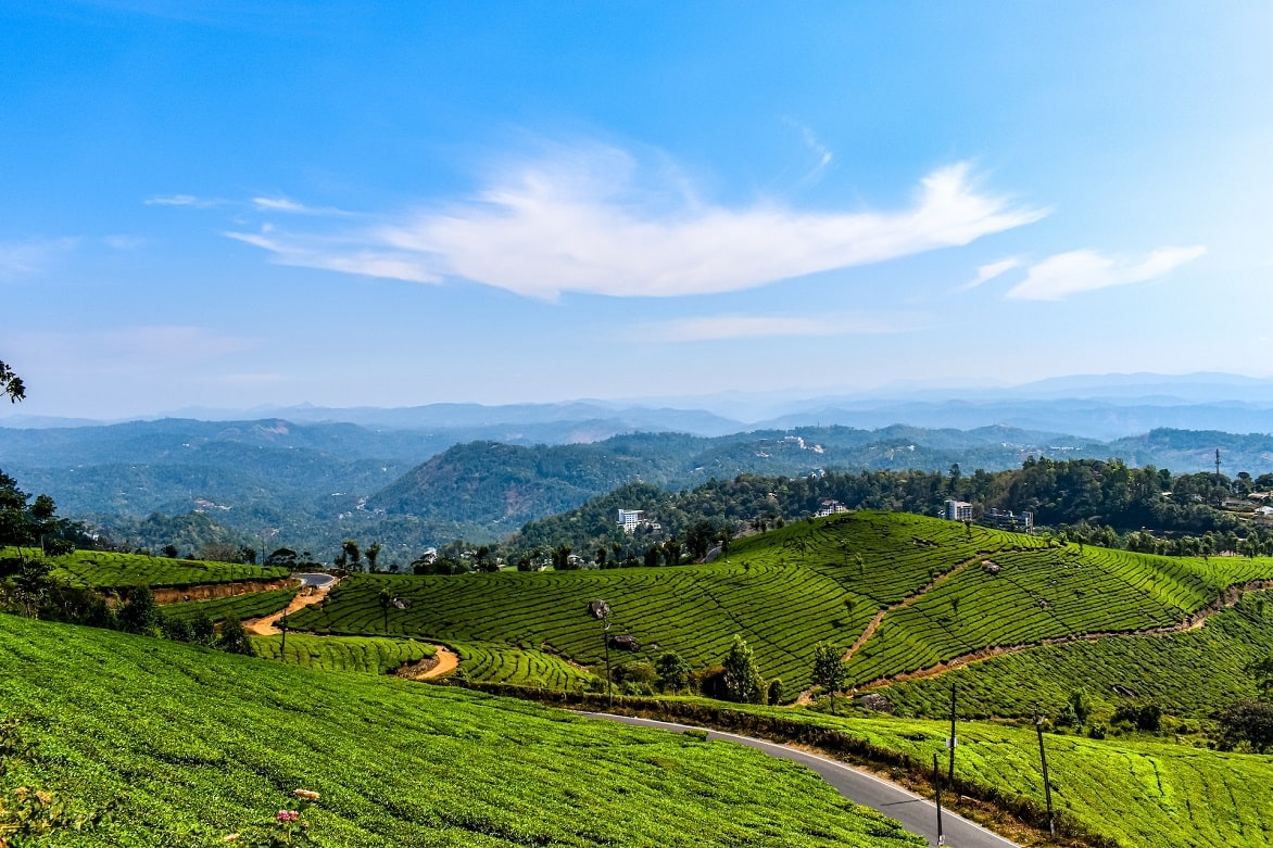 Places to Visit in Munnar
