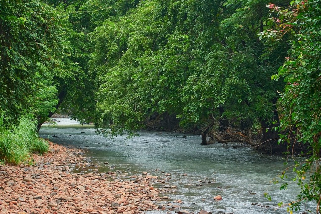 Sanjay Gandhi National Park Wildlife Oasis within the City