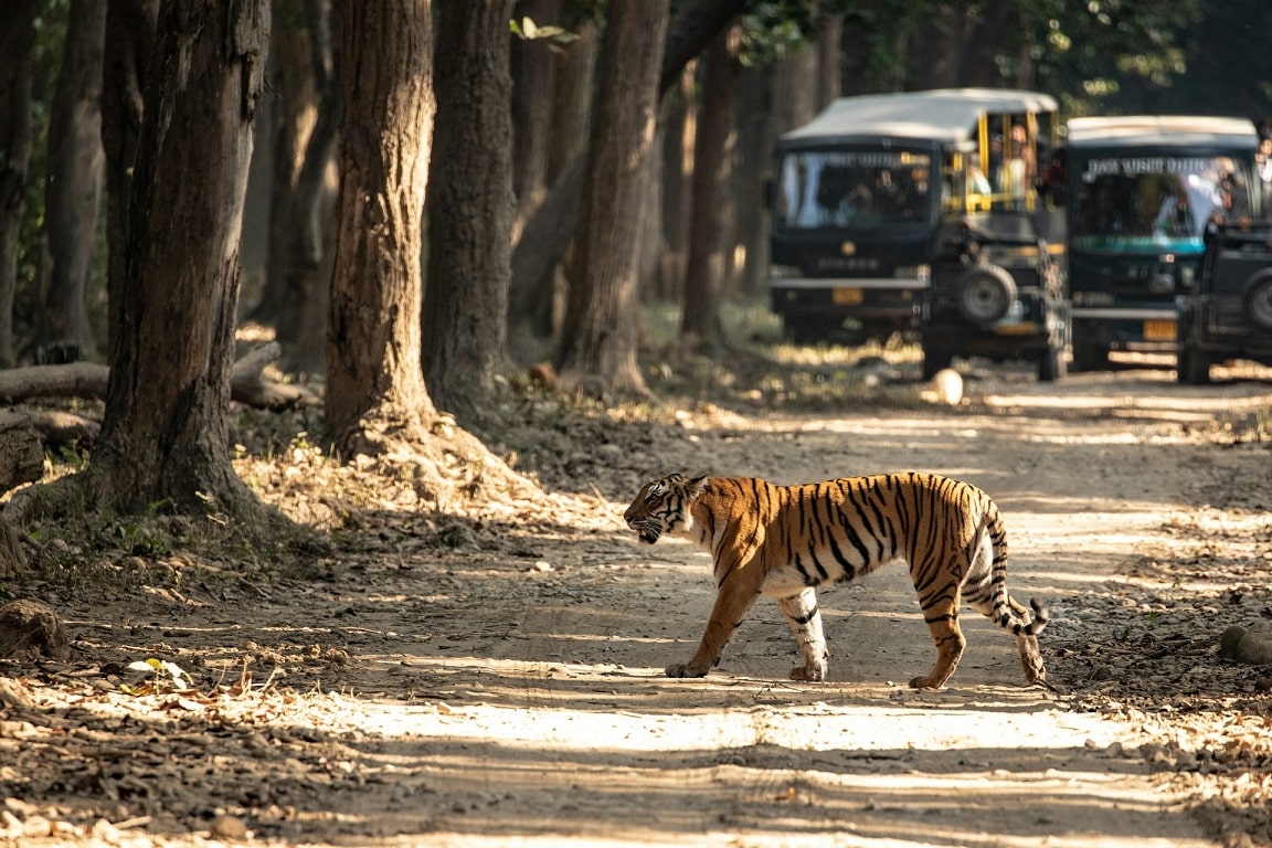 National Park and Wildlife Sanctuary in India