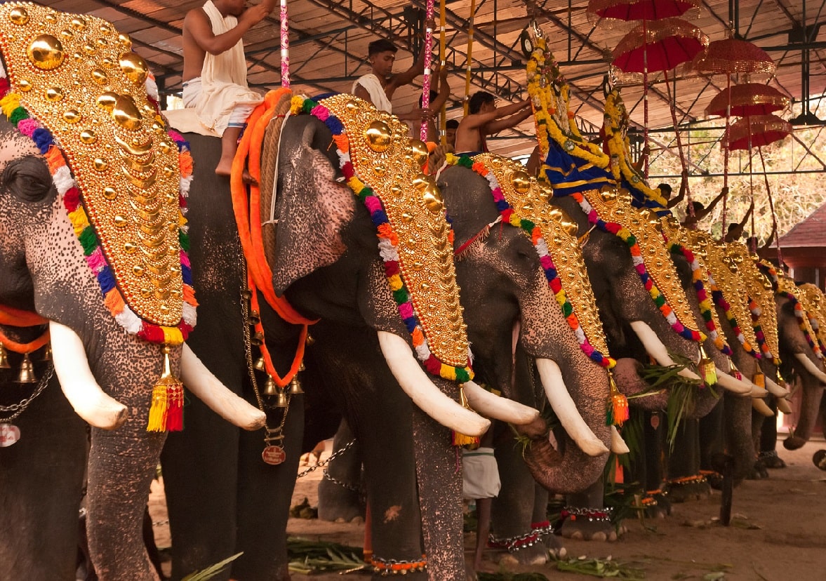 Thrissur Pooram Kerala Festival
