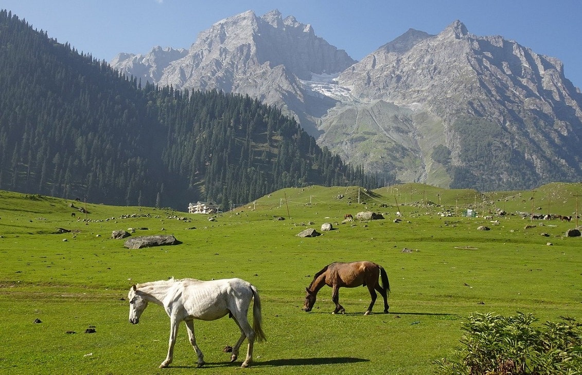 Hill Station in India