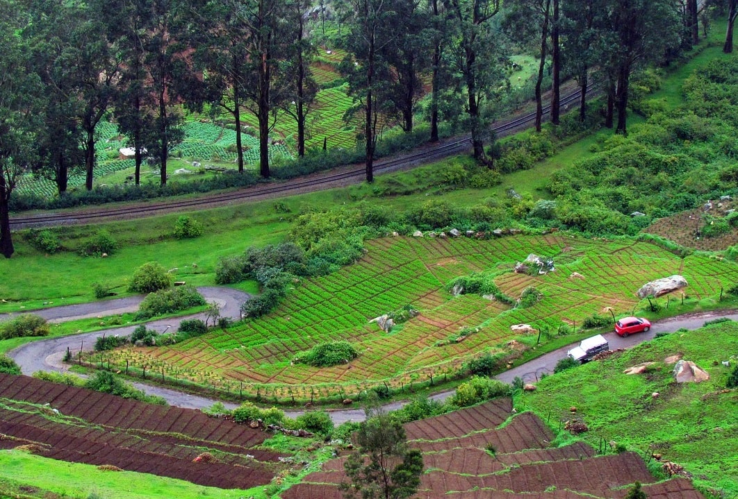 Places to Visit in Ooty