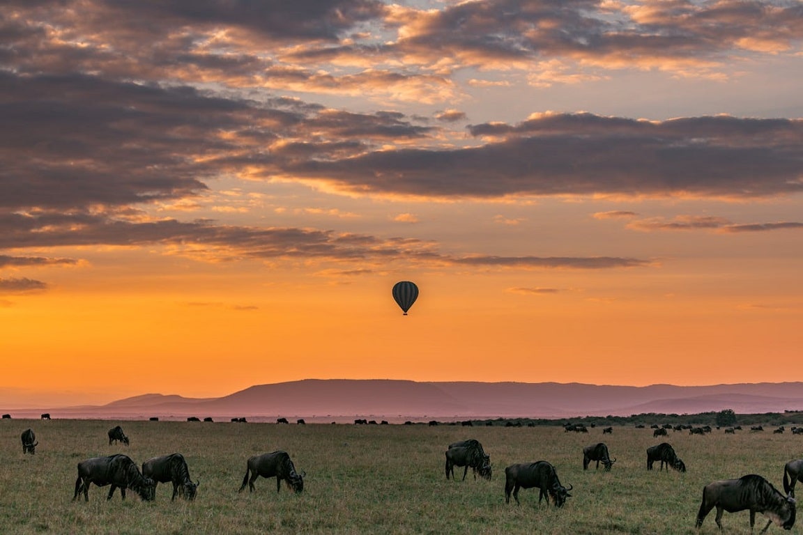 Safari in Tanzania, Africa Unforgettable Honeymoon Adventure